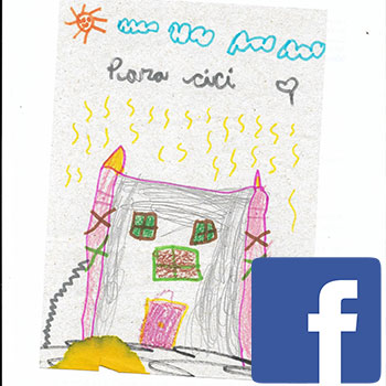 picto facebook livre
